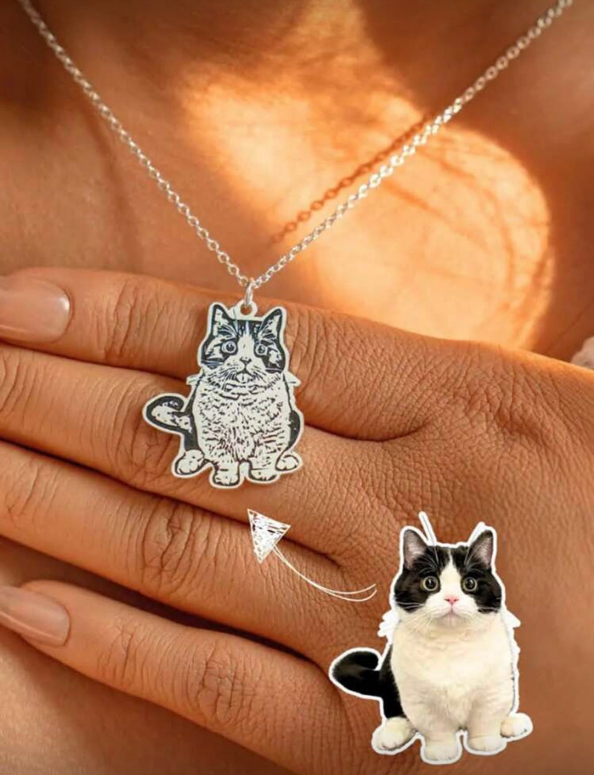 Collar Mascota Grabada Personalizado