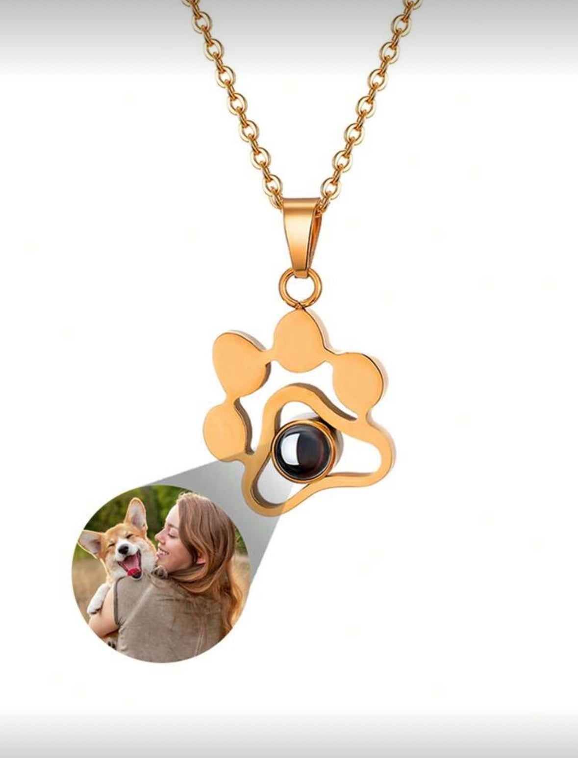 Collar Patita con proyección de foto