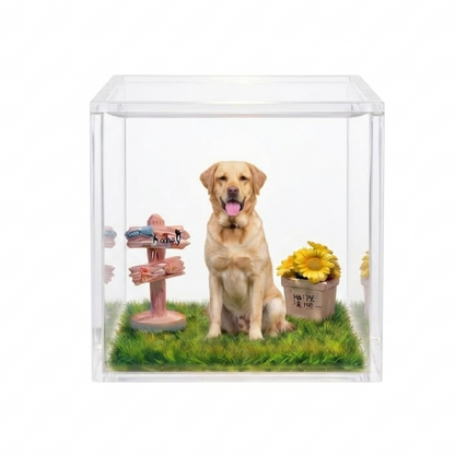 Caja de Proyección Holográfica Personalizada