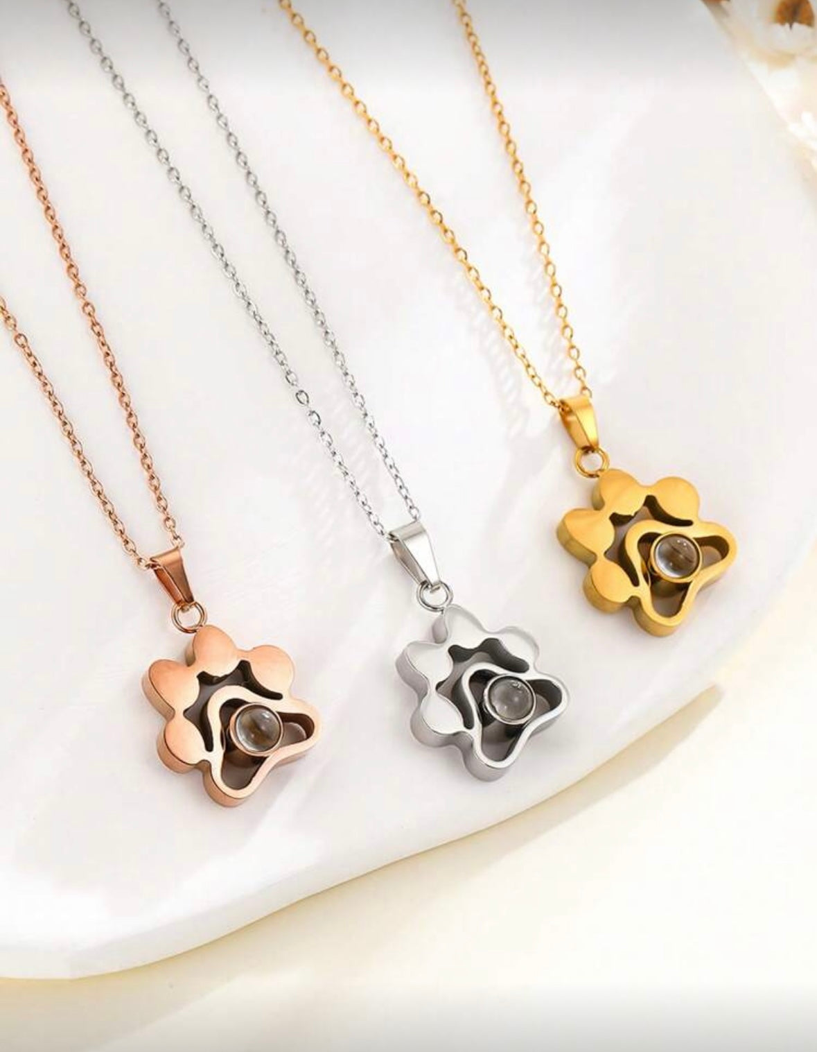 Collar Patita con proyección de foto