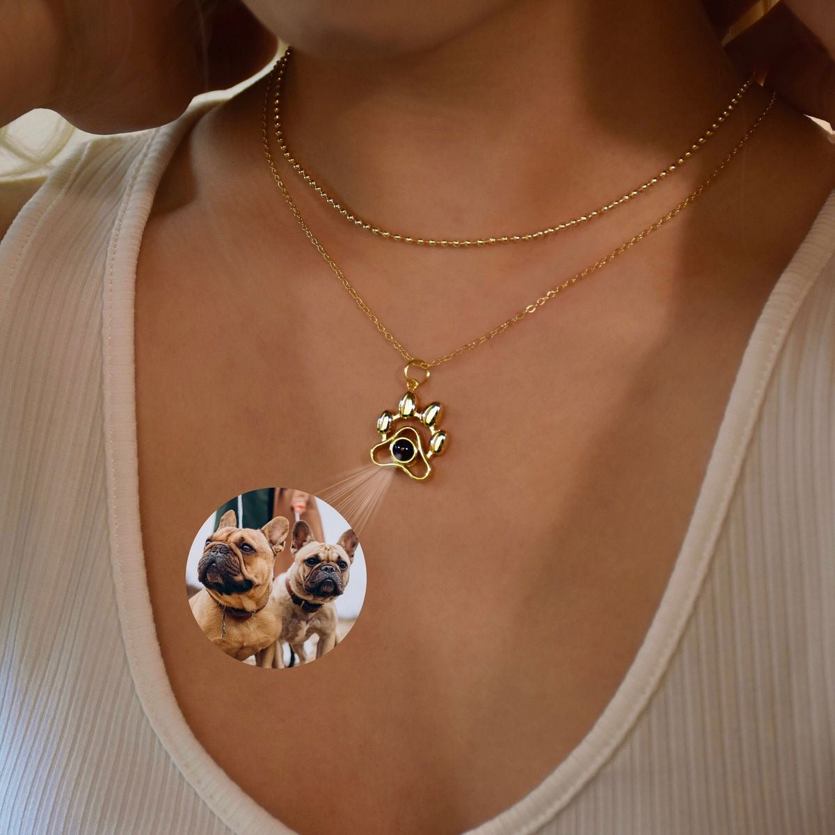 Collar Patita con proyección de foto