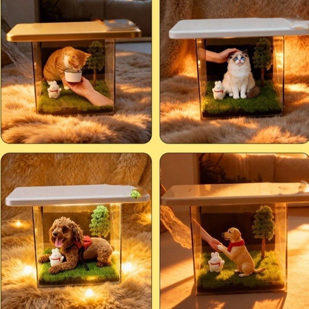 Caja de Proyección Holográfica Personalizada